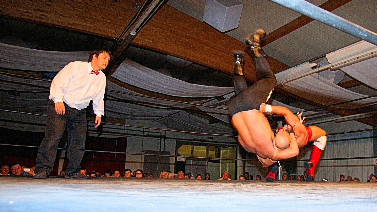 O Fotomagazin / European Wrestling Association Fight Night in Langenstein 2013